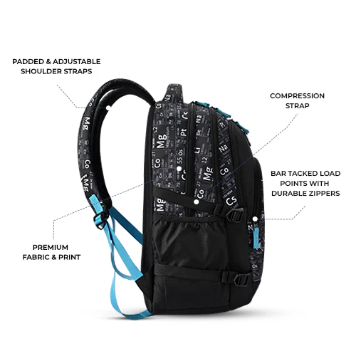 Educator Backpack 19 Inch (Black-Blue) - Image 7